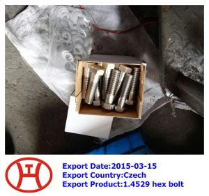 1. 4529  Hex Bolt