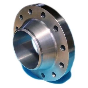 Hastelloy B2 WN FLANGE