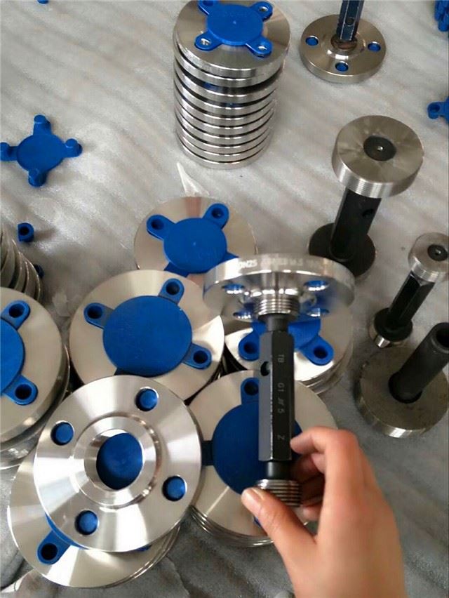 Ti Grade 2 Flange